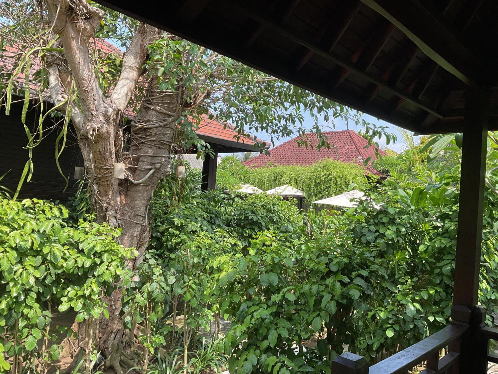 Bunutbali Villas88 Lembongan Exteriér fotografie